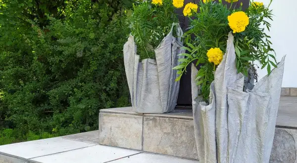Jak zrobić doniczki z betonu? Poradnik DIY dla każdego!